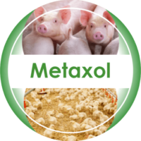 Medicamentos veterinarios – PH Albio